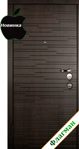 НОВИНКА! Дверь с 3-мя контурами уплотнителя повышенная шумоизоляция DL № 1